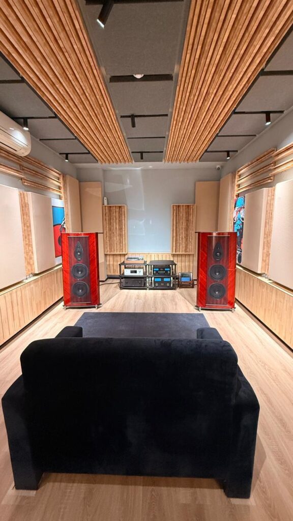 Audio Nirvana's high-end listening room in Gurgaon, with acoustic treatment designed by Sound And About